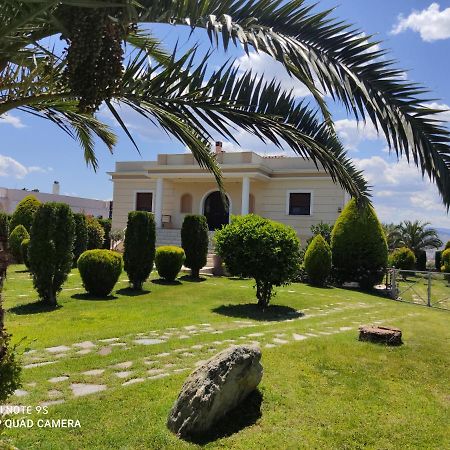 Luxury Villa Thea Volos Exterior photo