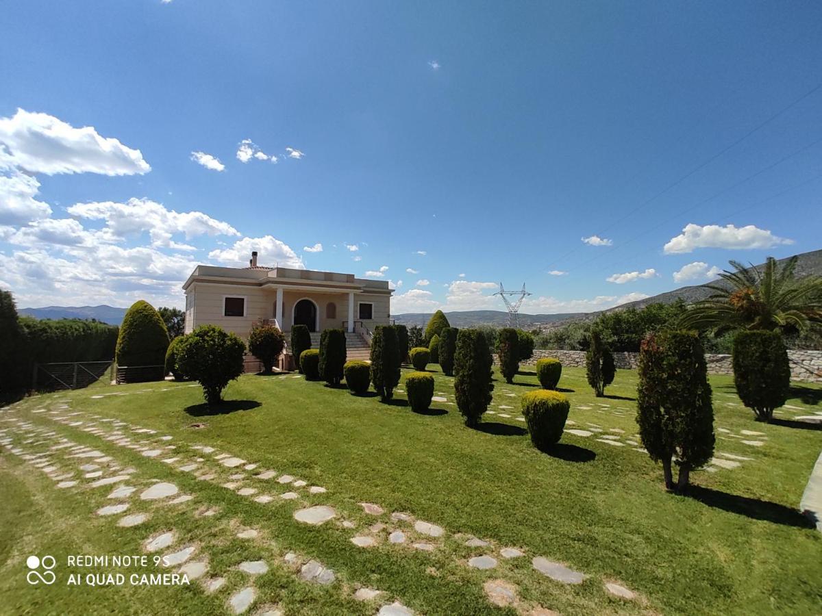 Luxury Villa Thea Volos Exterior photo