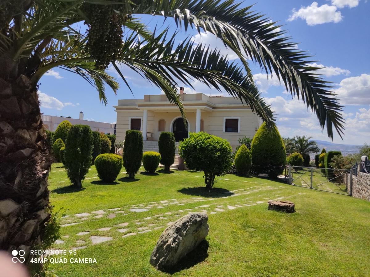Luxury Villa Thea Volos Exterior photo