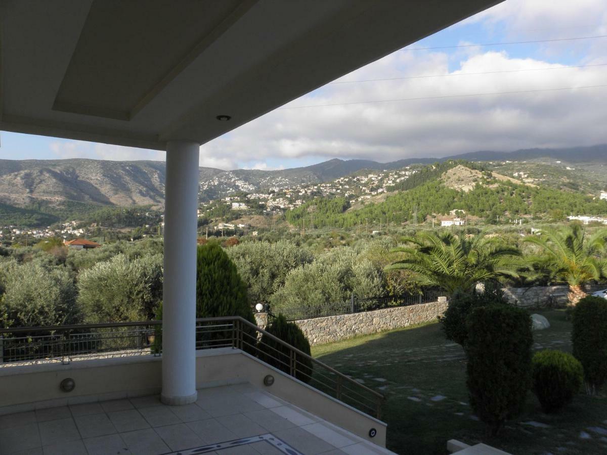 Luxury Villa Thea Volos Exterior photo