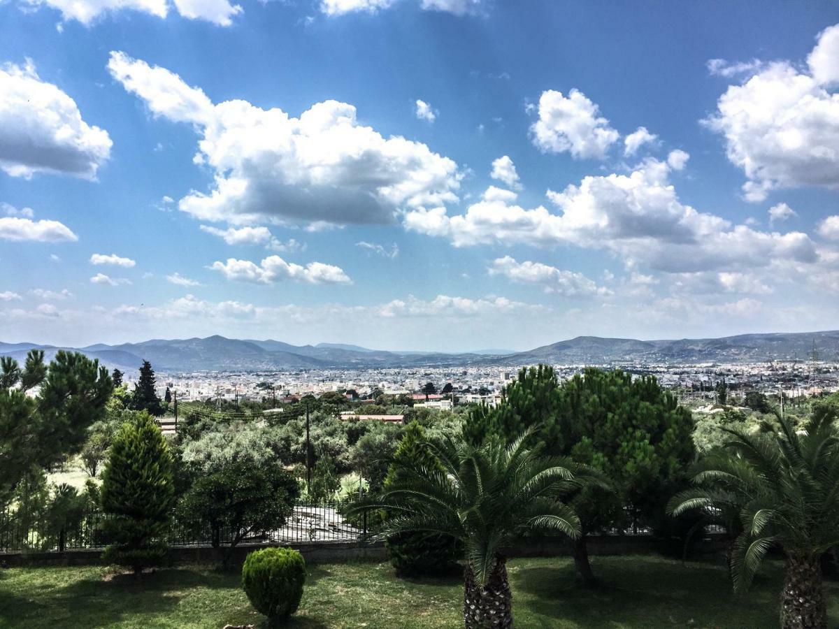 Luxury Villa Thea Volos Exterior photo